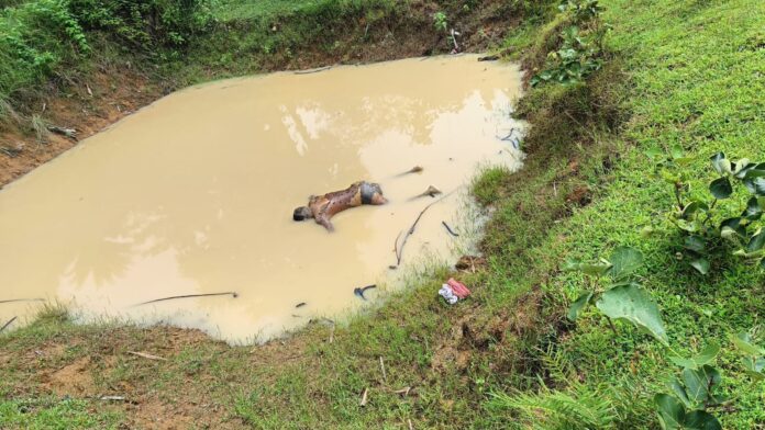 नाला थाना क्षेत्र के फतेहपुर गांव में डोभा में डूबने से 58 वर्षीय व्यक्ति की मौत, पुलिस जांच में जुटी। ग्रामीणों में शोक का माहौल।